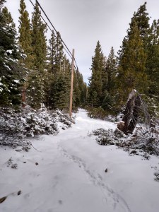 IMG_20151205_101148251_HDR