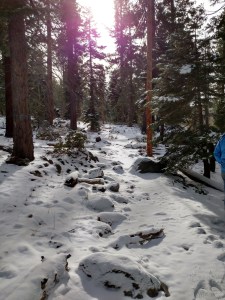 IMG_20151205_104712060_HDR