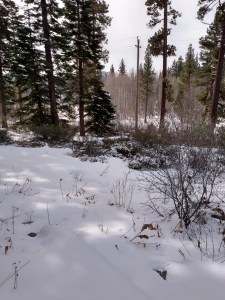 IMG_20151205_105020161_HDR