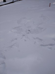 Barb's snow angel