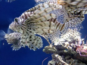 IMG_20160126_104915360