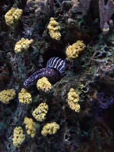 IMG_20160126_105159798