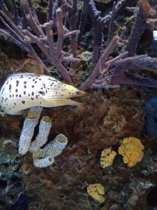 IMG_20160126_105218388