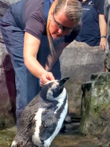 IMG_20160126_110235652_HDR