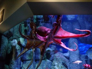 IMG_20160126_114231029