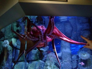 IMG_20160126_114236503