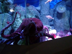 IMG_20160126_114345806