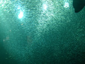 IMG_20160126_124026090