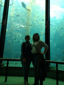 IMG_20160126_125927902