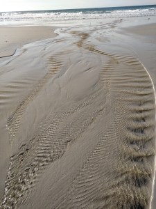 IMG_20160126_151551295