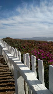 IMG_20160127_123804803